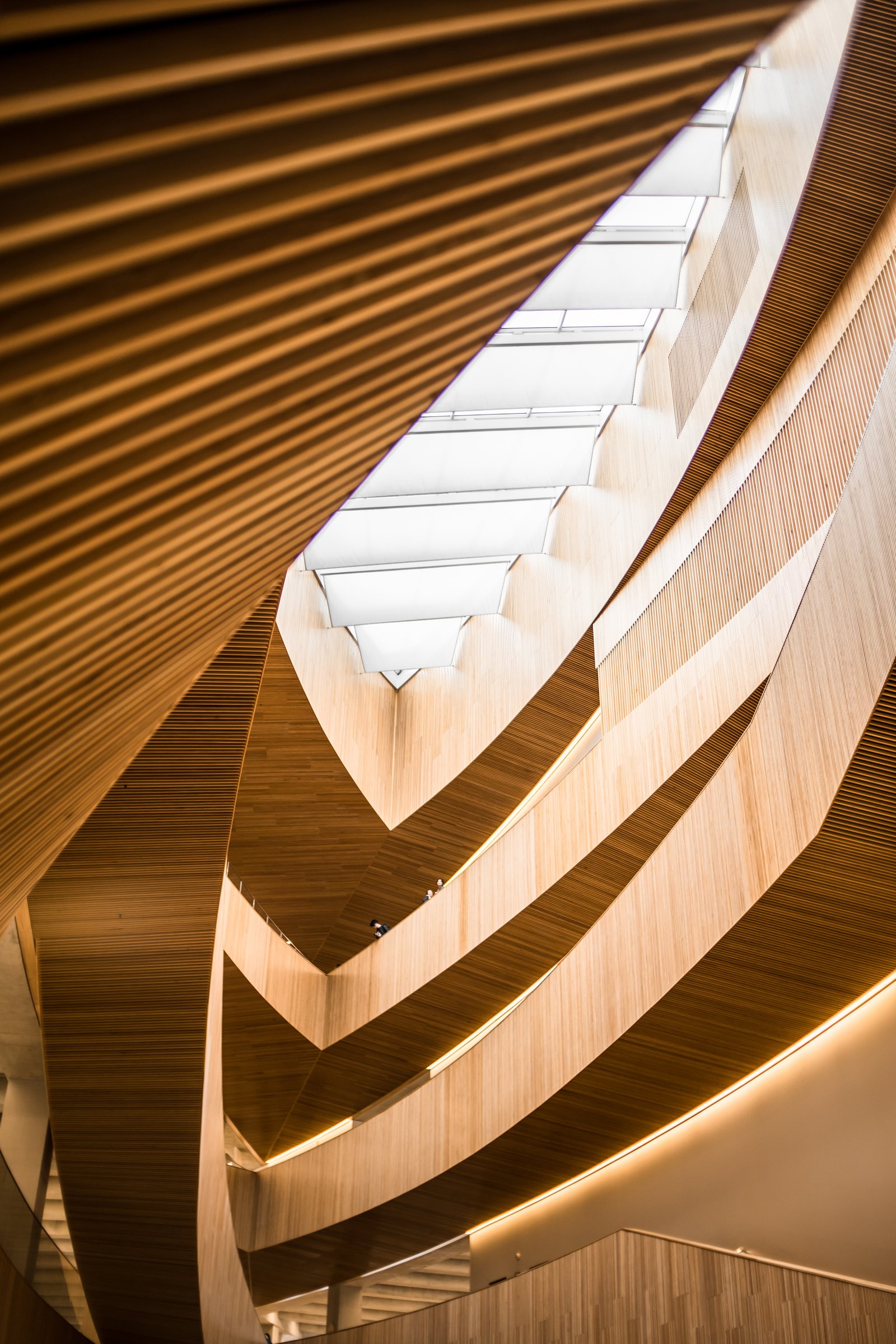 FNF interiors principles